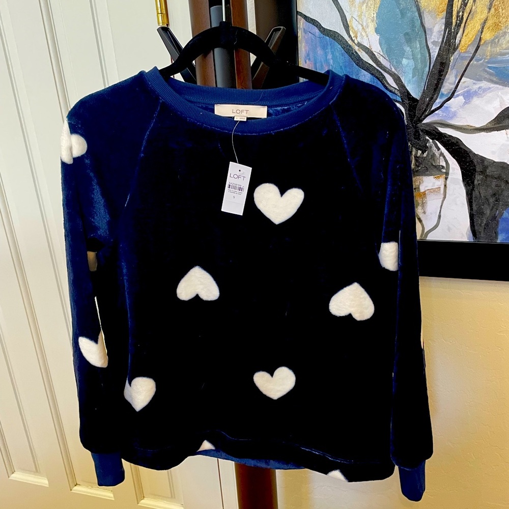 BRAND NEW, LOFT sweater